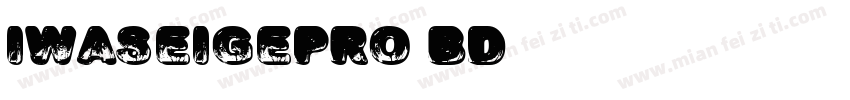 iwaseigepro bd字体转换